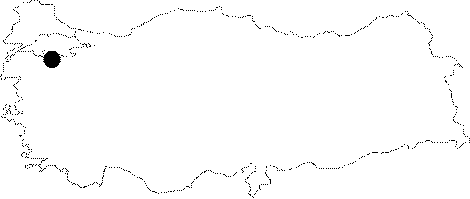 maps